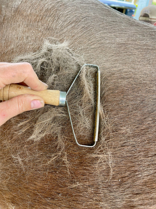 HORSE AND PET HAIR REMOVER